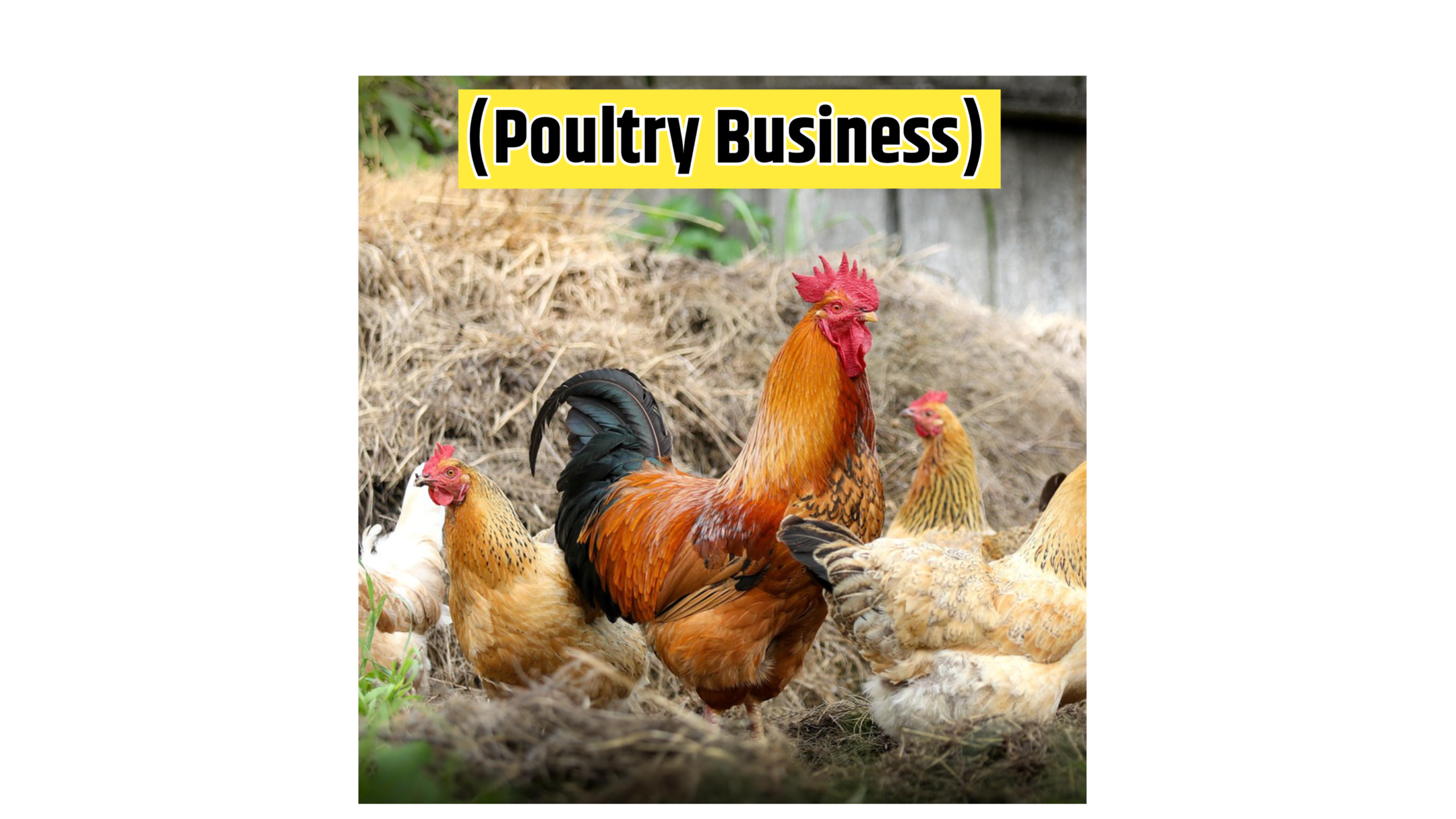 Village business Idea