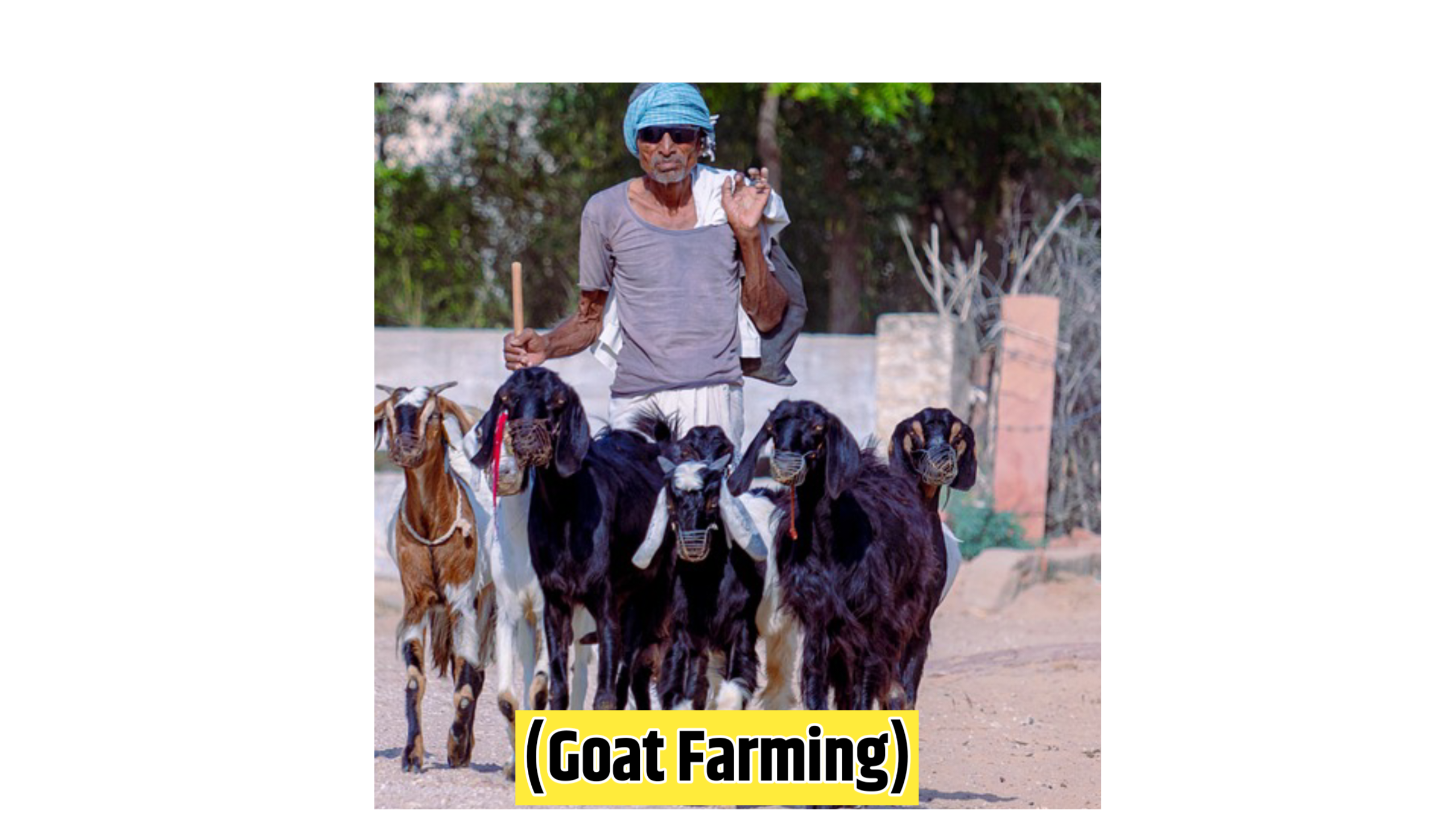 Village business Idea