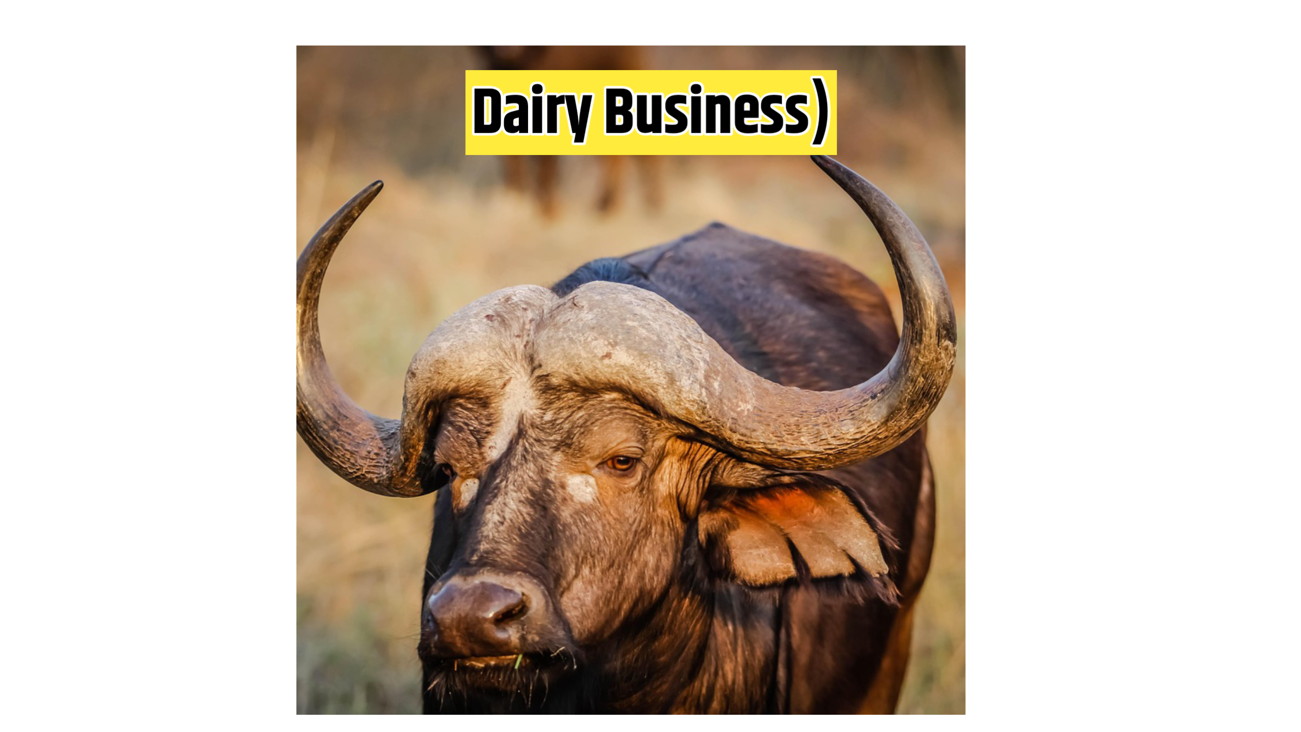 Village business Idea