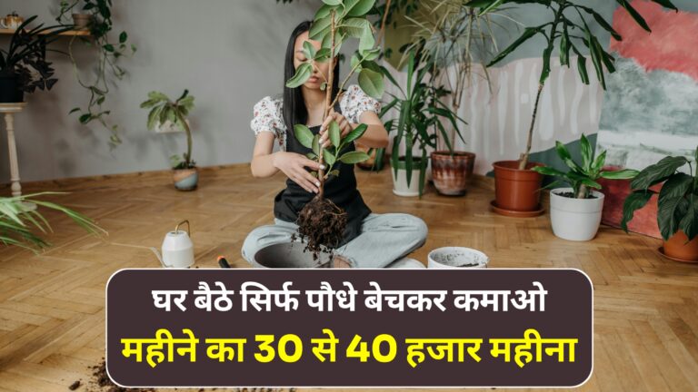 Home Nursery Business Idea